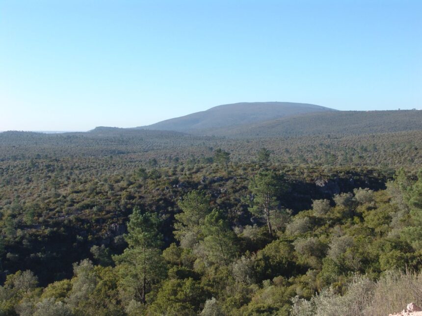 Serra de Aire e Cavalgamento do Arrife