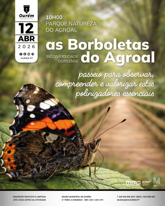 BIODIVERSIDADE OUREENSE: AS BORBOLETAS DO AGROAL