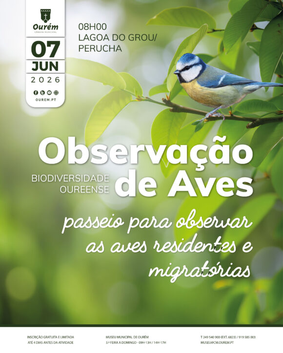 Biodiversidade Oureense | Observação de aves